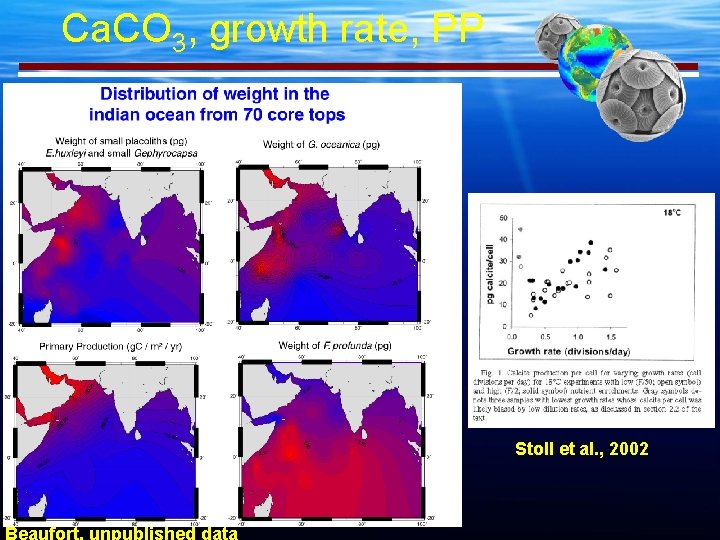 Ca. CO 3, growth rate, PP Stoll et al. , 2002 Beaufort, unpublished data