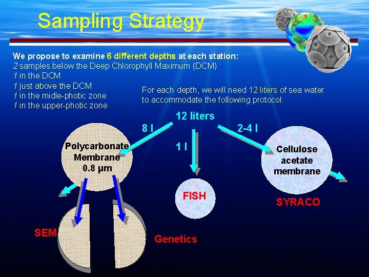 Sampling Strategy We propose to examine 6 different depths at each station: 2 samples