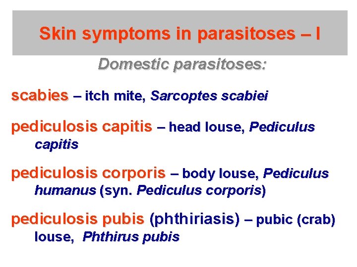 Skin symptoms in parasitoses – I Domestic parasitoses: scabies – itch mite, Sarcoptes scabiei