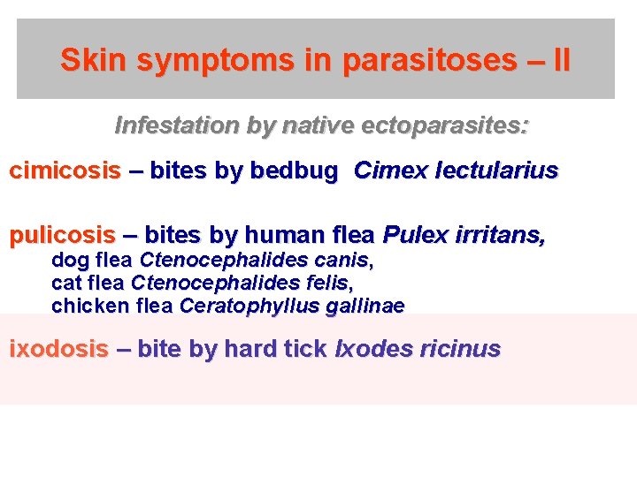 Skin symptoms in parasitoses – II Infestation by native ectoparasites: cimicosis – bites by