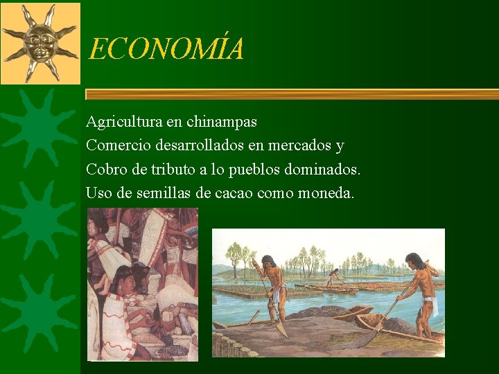 ECONOMÍA Agricultura en chinampas Comercio desarrollados en mercados y Cobro de tributo a lo ECONOMÍA Agricultura en chinampas Comercio desarrollados en mercados y Cobro de tributo a lo