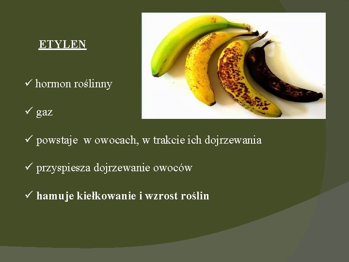 ETYLEN ü hormon roślinny ü gaz ü powstaje w owocach, w trakcie ich dojrzewania