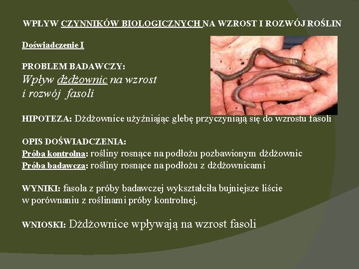 WPŁYW CZYNNIKÓW BIOLOGICZNYCH NA WZROST I ROZWÓJ ROŚLIN Doświadczenie I PROBLEM BADAWCZY: Wpływ dżdżownic