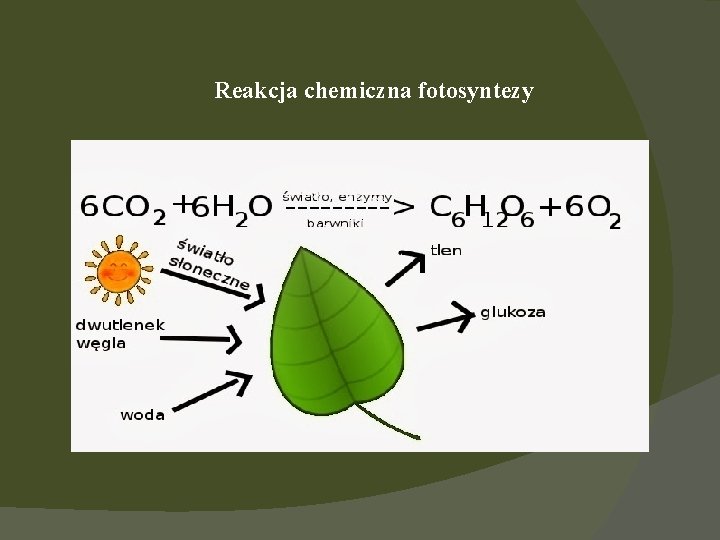 Reakcja chemiczna fotosyntezy 