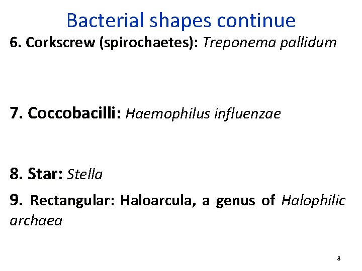 Bacterial shapes continue 6. Corkscrew (spirochaetes): Treponema pallidum (spirochaetes): 7. Coccobacilli: Haemophilus influenzae 8. Bacterial shapes continue 6. Corkscrew (spirochaetes): Treponema pallidum (spirochaetes): 7. Coccobacilli: Haemophilus influenzae 8.
