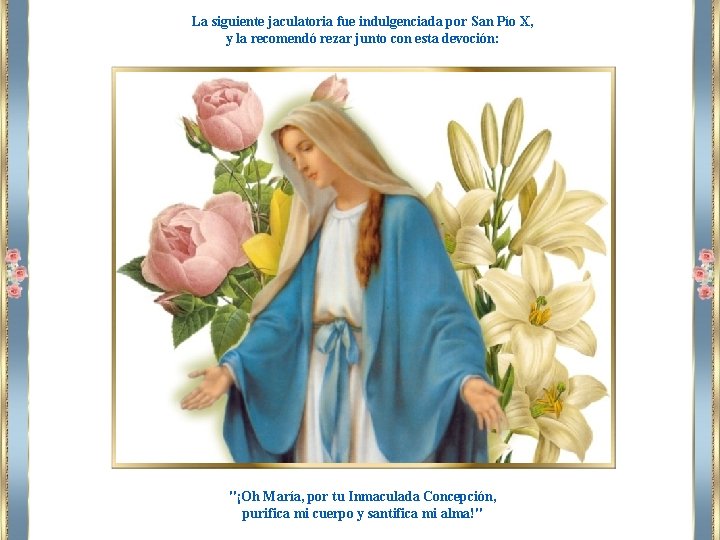 La siguiente jaculatoria fue indulgenciada por San Pío X, y la recomendó rezar junto