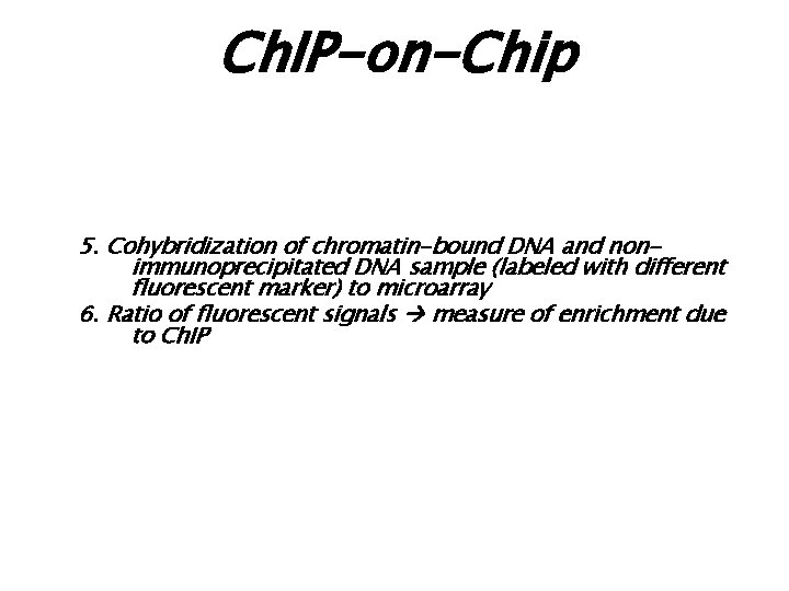 Ch. IP-on-Chip 5. Cohybridization of chromatin-bound DNA and nonimmunoprecipitated DNA sample (labeled with different