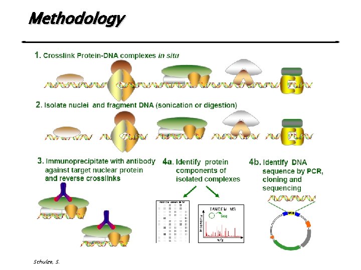 Methodology Schulze, S. 