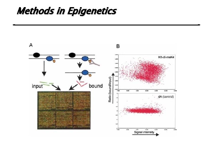 Methods in Epigenetics 