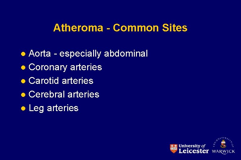 Atheroma - Common Sites Aorta - especially abdominal l Coronary arteries l Carotid arteries