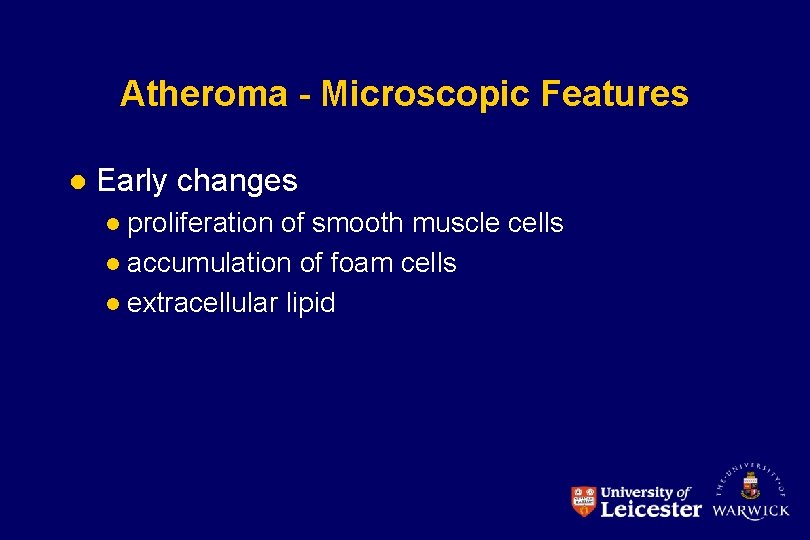 Atheroma - Microscopic Features l Early changes proliferation of smooth muscle cells l accumulation