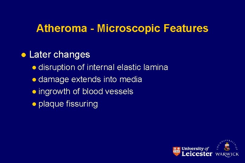 Atheroma - Microscopic Features l Later changes disruption of internal elastic lamina l damage