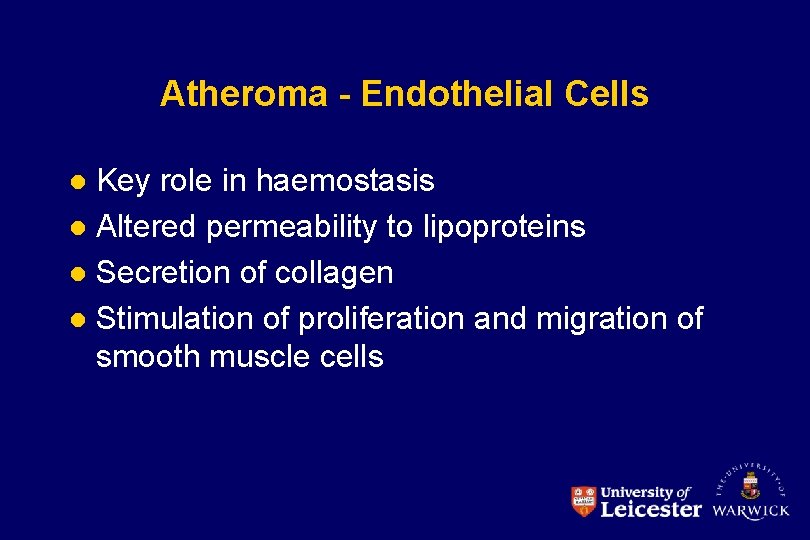 Atheroma - Endothelial Cells Key role in haemostasis l Altered permeability to lipoproteins l