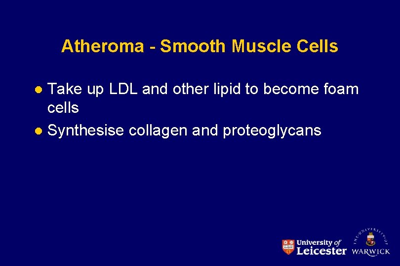 Atheroma - Smooth Muscle Cells Take up LDL and other lipid to become foam