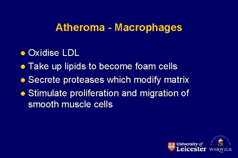 Atheroma - Macrophages Oxidise LDL l Take up lipids to become foam cells l