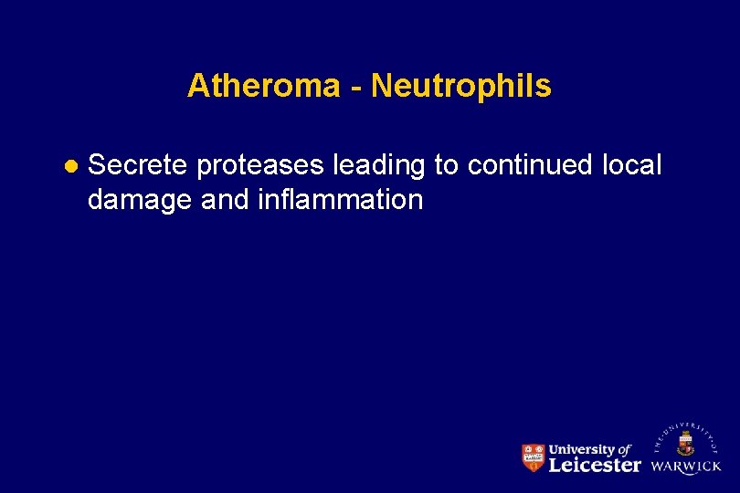 Atheroma - Neutrophils l Secrete proteases leading to continued local damage and inflammation 
