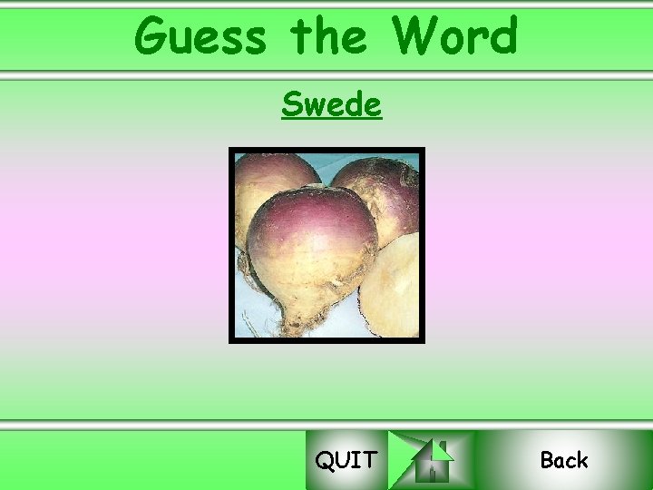 Guess the Word Swede QUIT Back 