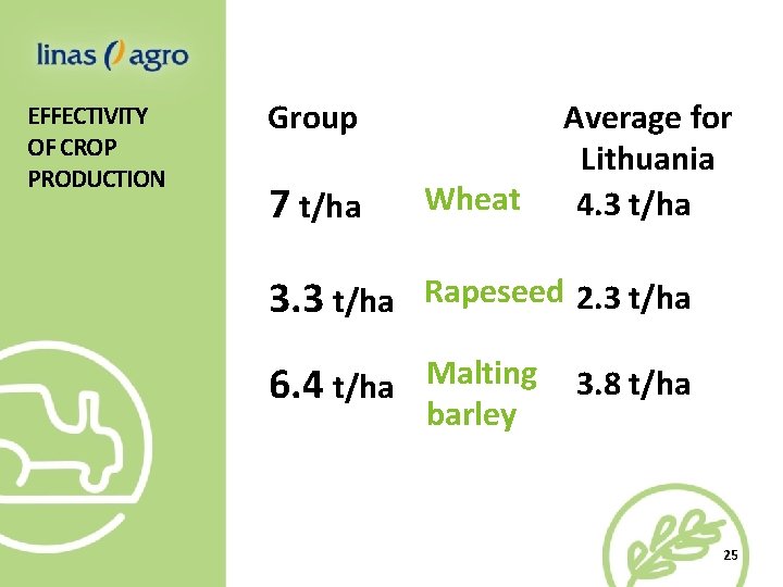 EFFECTIVITY OF CROP PRODUCTION Group Average for Lithuania 4. 3 t/ha 7 t/ha Wheat