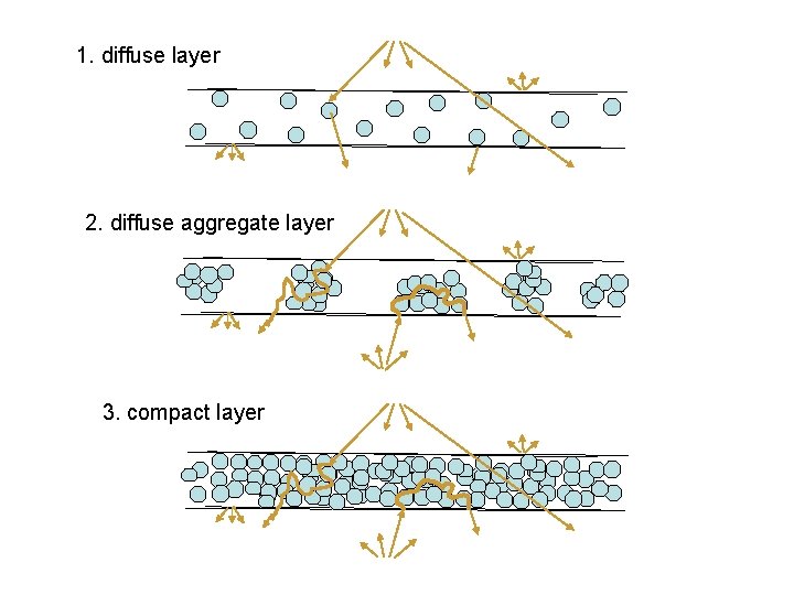 1. diffuse layer 2. diffuse aggregate layer 3. compact layer 