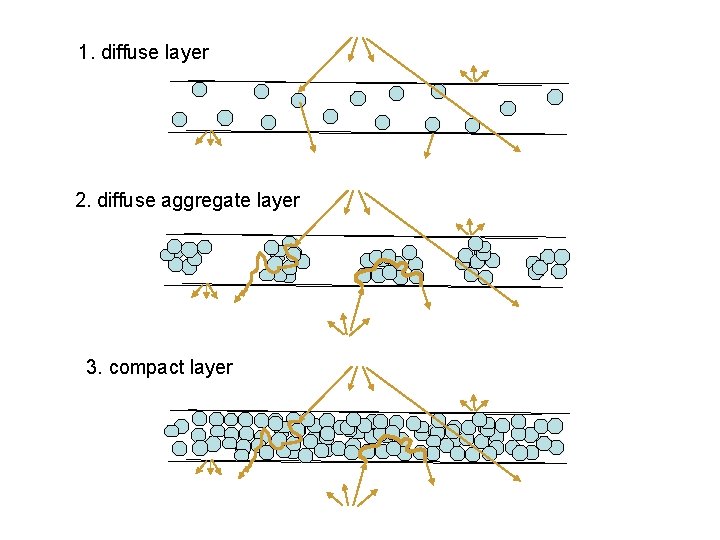 1. diffuse layer 2. diffuse aggregate layer 3. compact layer 