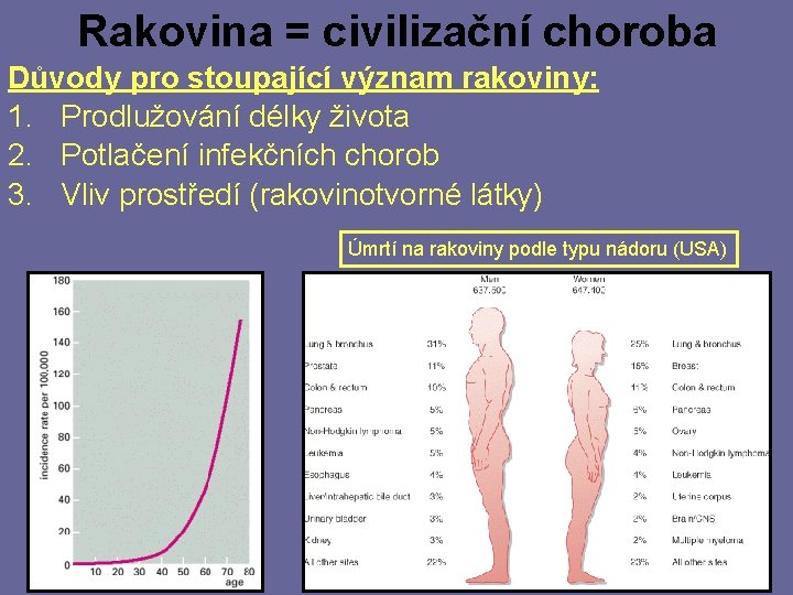 Rakovina = civilizační choroba Důvody pro stoupající význam rakoviny: 1. Prodlužování délky života 2.