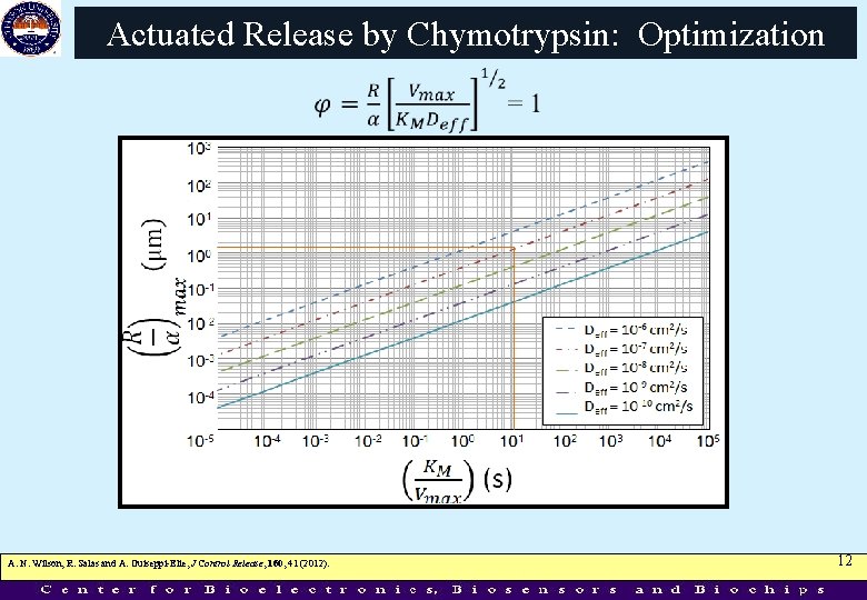 Actuated Release by Chymotrypsin: Optimization A. N. Wilson, R. Salas and A. Guiseppi-Elie, J