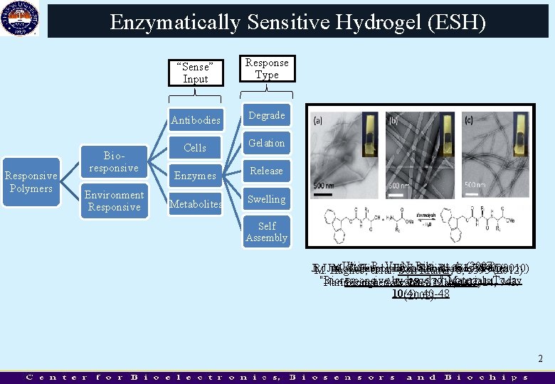 Enzymatically Sensitive Hydrogel (ESH) Responsive Polymers Bioresponsive Environment Responsive “Sense” Input Response Type Antibodies