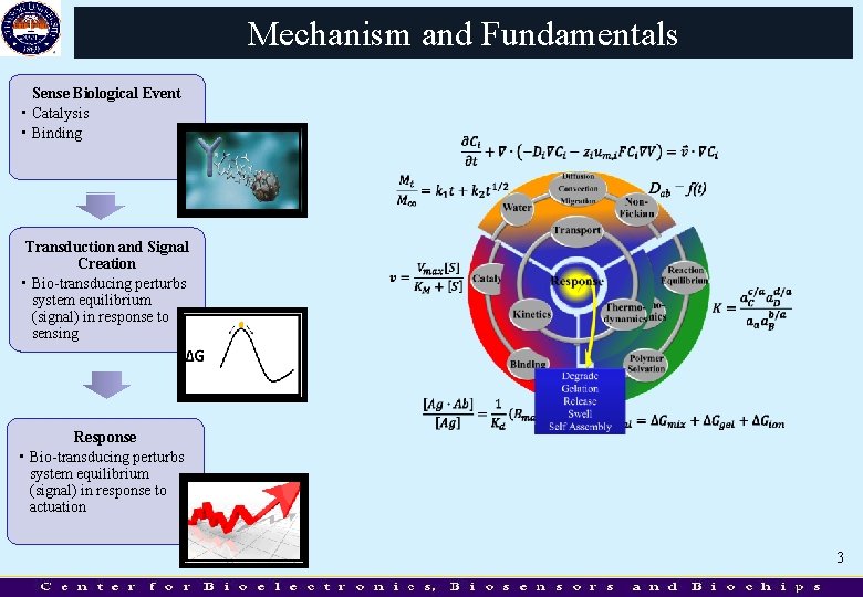 Mechanism and Fundamentals Sense Biological Event • Catalysis • Binding Transduction and Signal Creation