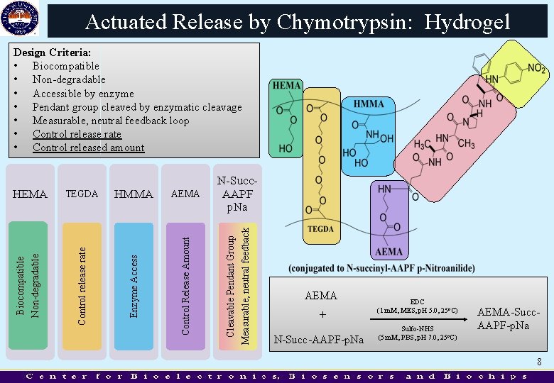 Actuated Release by Chymotrypsin: Hydrogel HEMA TEGDA HMMA AEMA N-Succ. AAPF p. Na Biocompatible