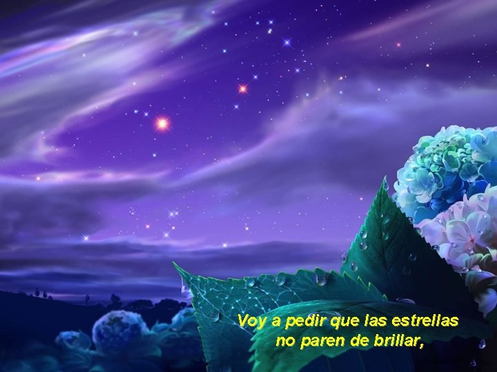 Voy a pedir que las estrellas no paren de brillar, 