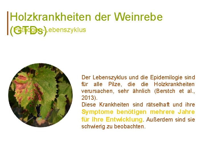 Holzkrankheiten der Weinrebe Pathogen-Lebenszyklus (GTDs) Der Lebenszyklus und die Epidemilogie sind für alle Pilze,