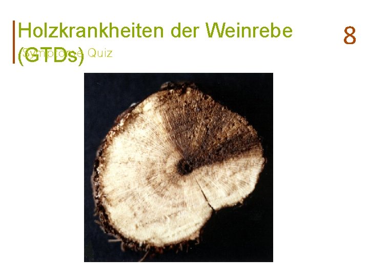 Holzkrankheiten der Weinrebe Symptome Quiz (GTDs) 8 