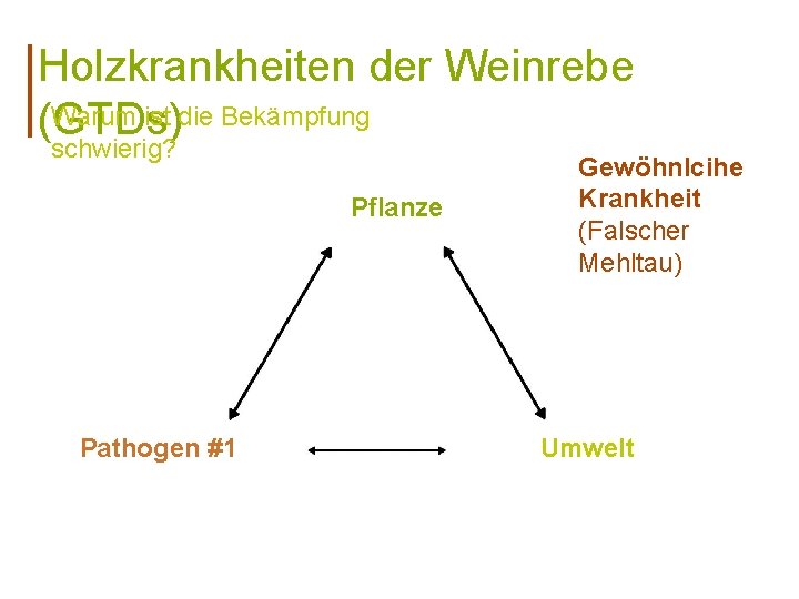 Holzkrankheiten der Weinrebe Warum ist die Bekämpfung (GTDs) schwierig? Pflanze Pathogen #1 Gewöhnlcihe Krankheit