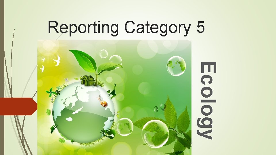 Reporting Category 5 Ecology 