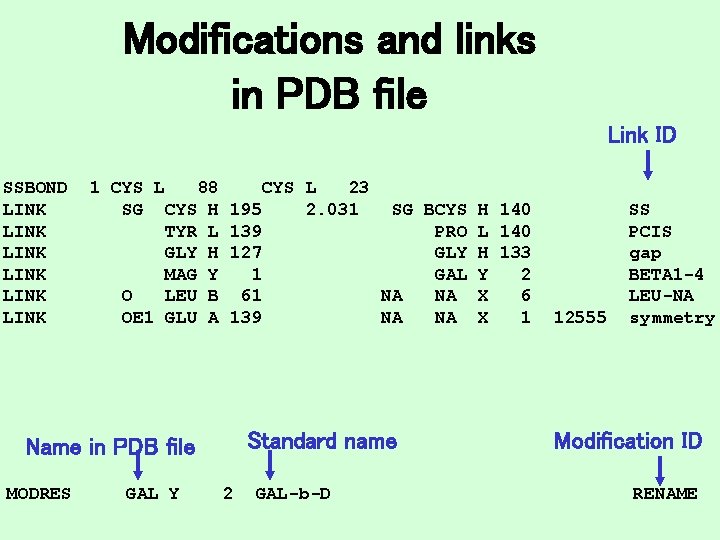 Modifications and links in PDB file Link ID SSBOND LINK LINK 1 CYS L
