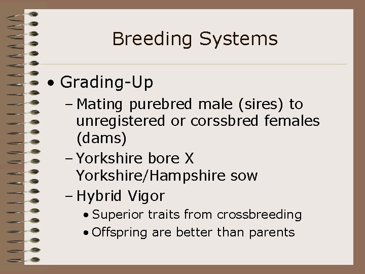 Breeding Systems • Grading-Up – Mating purebred male (sires) to unregistered or corssbred females