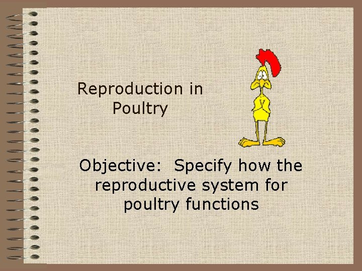 Reproduction in Poultry Objective: Specify how the reproductive system for poultry functions 