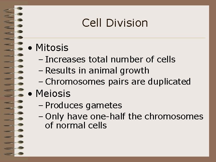 Cell Division • Mitosis – Increases total number of cells – Results in animal