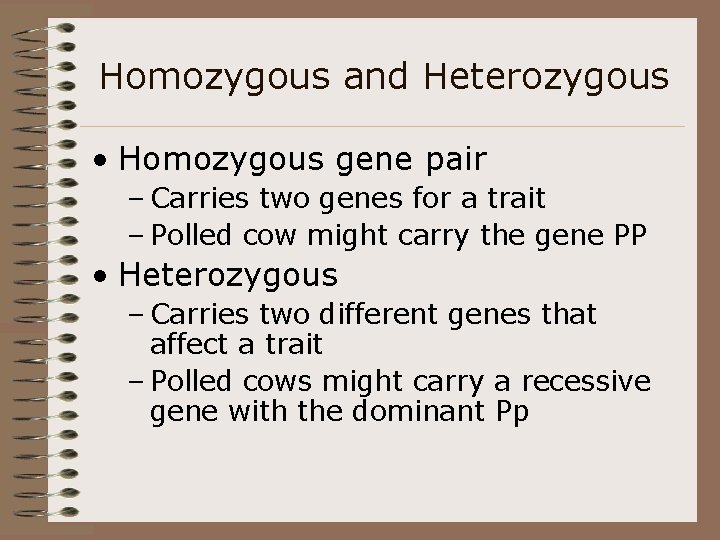 Homozygous and Heterozygous • Homozygous gene pair – Carries two genes for a trait