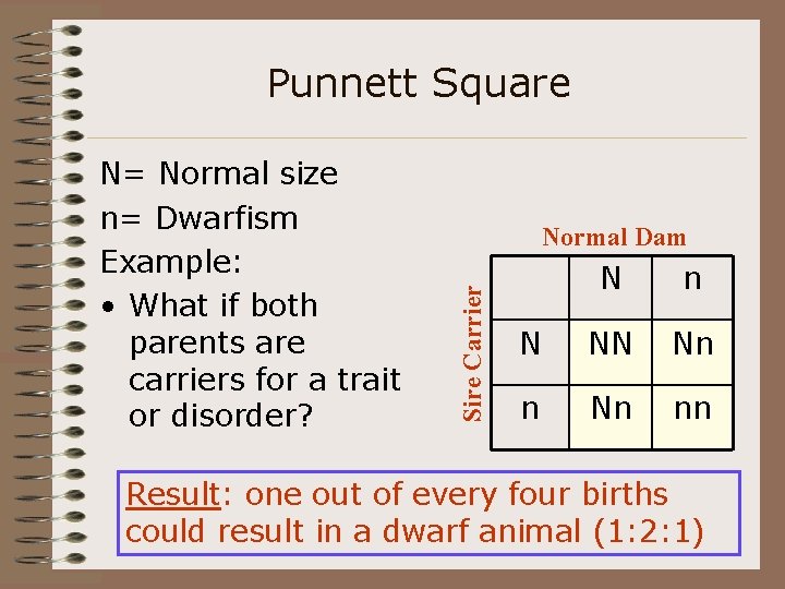 Punnett Square Normal Dam Sire Carrier N= Normal size n= Dwarfism Example: • What
