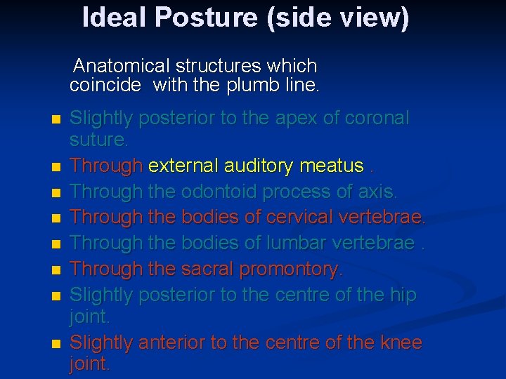 Ideal Posture (side view) Anatomical structures which coincide with the plumb line. n n