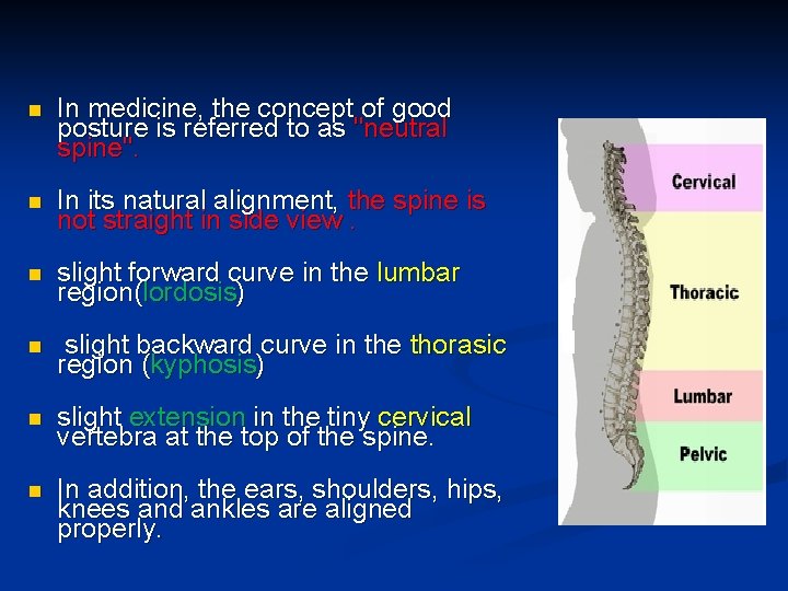 n In medicine, the concept of good posture is referred to as "neutral spine".