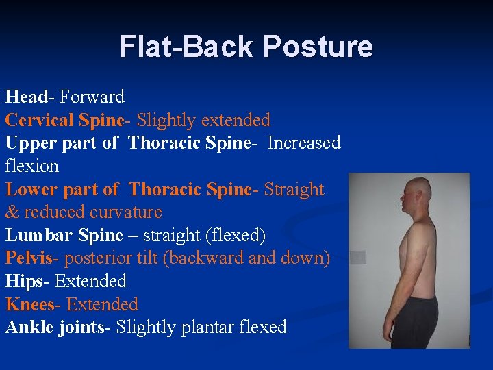 Flat-Back Posture Head- Forward Cervical Spine- Slightly extended Upper part of Thoracic Spine- Increased