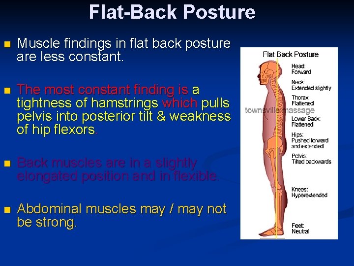 Flat-Back Posture n Muscle findings in flat back posture are less constant. n The