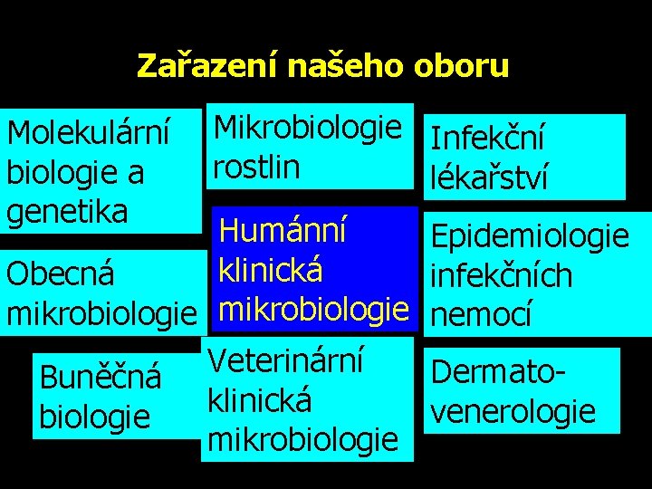 Zařazení našeho oboru Molekulární biologie a genetika Mikrobiologie Infekční rostlin lékařství Humánní Epidemiologie klinická