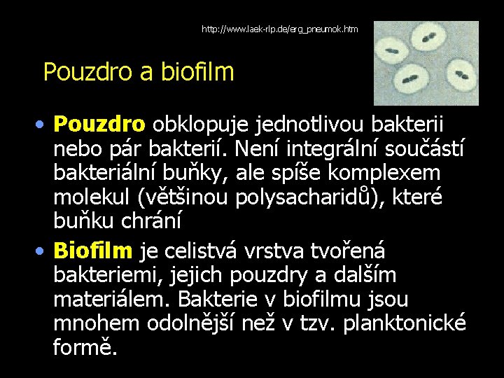 http: //www. laek-rlp. de/erg_pneumok. htm Pouzdro a biofilm • Pouzdro obklopuje jednotlivou bakterii nebo