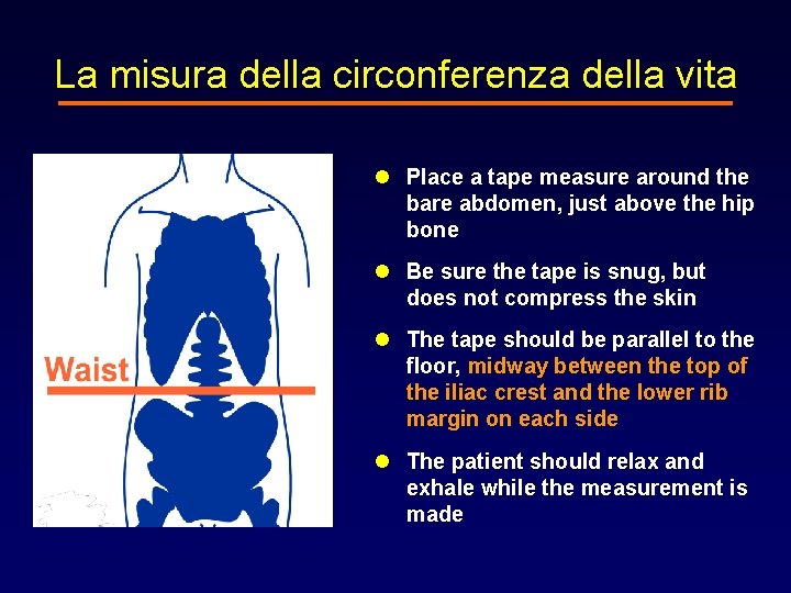 La misura della circonferenza della vita l Place a tape measure around the bare