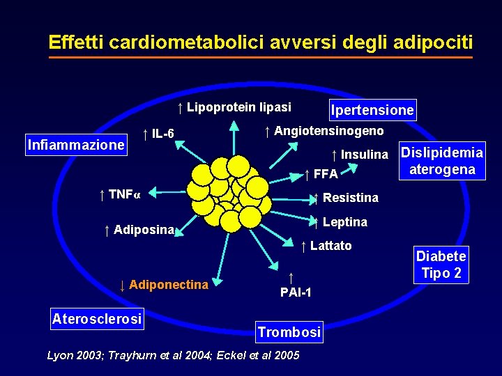 Effetti cardiometabolici avversi degli adipociti ↑ Lipoprotein lipasi Infiammazione ↑ Angiotensinogeno ↑ IL-6 ↑