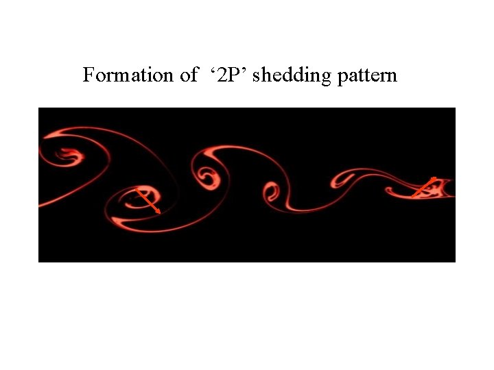 Formation of ‘ 2 P’ shedding pattern 