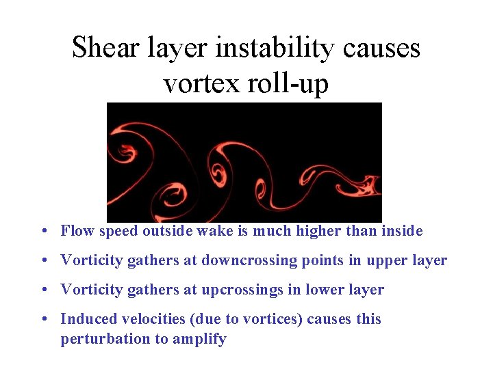 Shear layer instability causes vortex roll-up • Flow speed outside wake is much higher